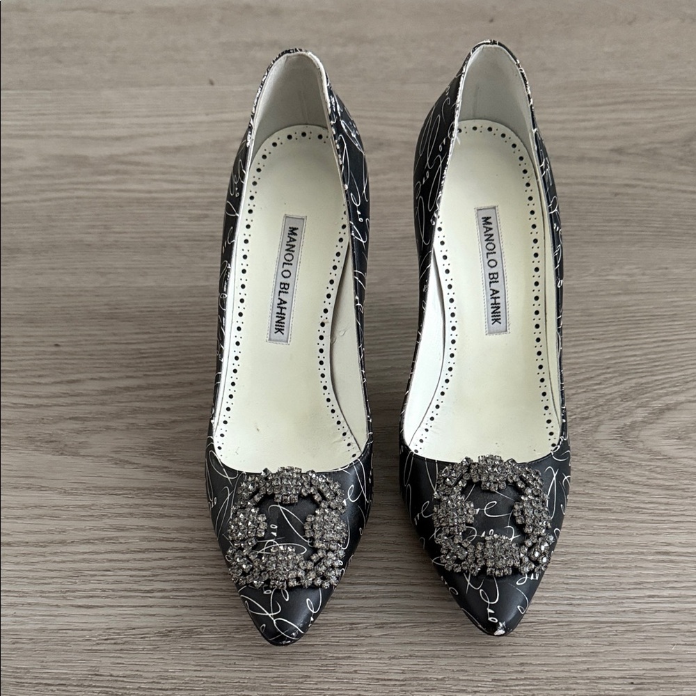 Manolo Blahnik Decade of Love Hangisi Pumps - Picture 2 of 8